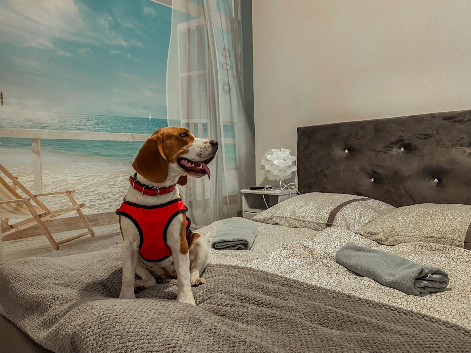 Hostel Przed Switem Ґожув-Велькопольський Екстер'єр фото