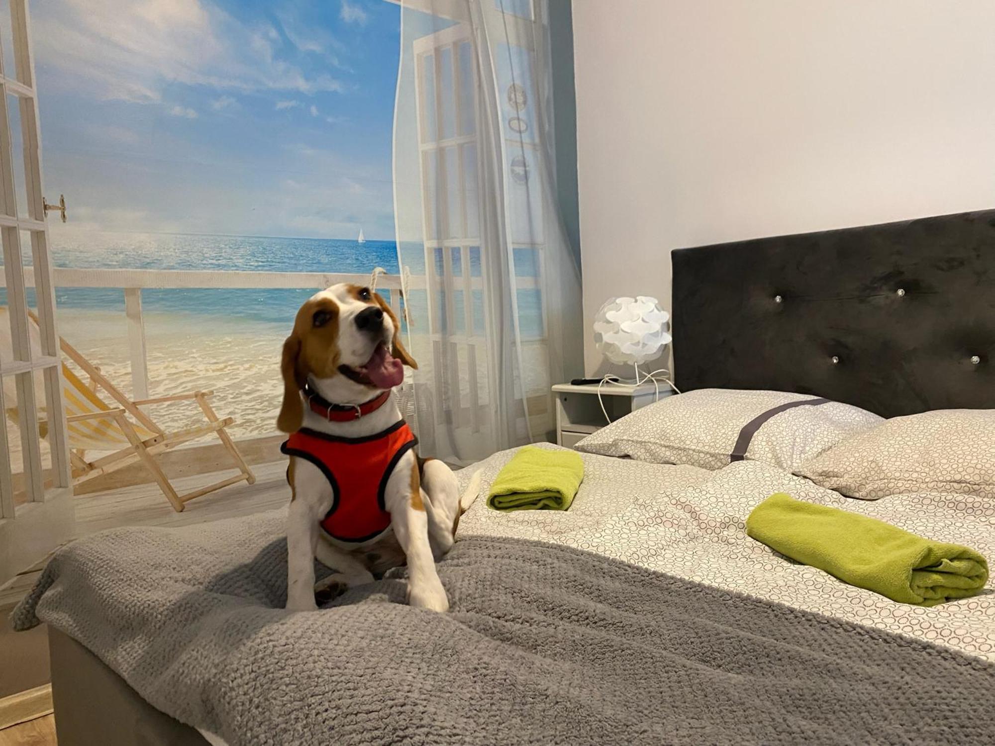 Hostel Przed Switem Ґожув-Велькопольський Екстер'єр фото